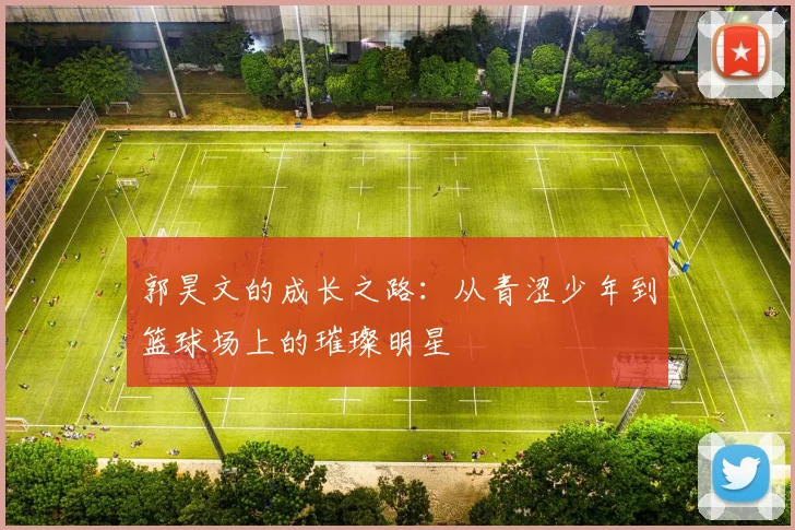 郭昊文的成长之路：从青涩少年到篮球场上的璀璨明星