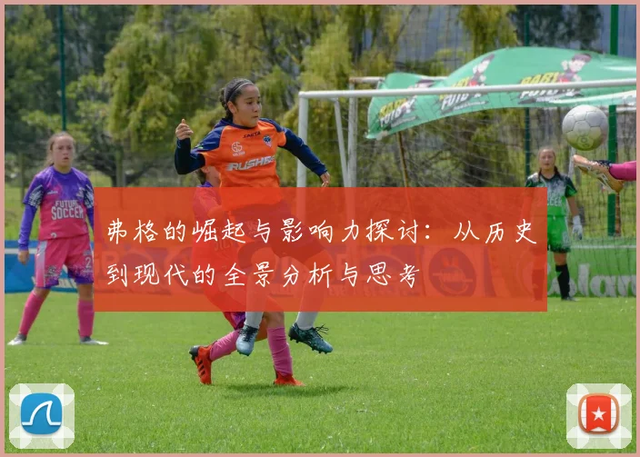 弗格的崛起与影响力探讨：从历史到现代的全景分析与思考